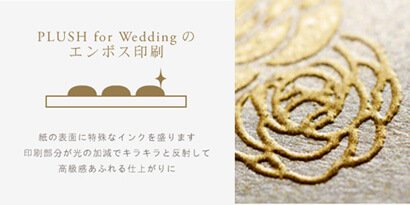 ¥Ú¡¼¥Ñ¡¼¥¢¥¤¥Æ¥à¥¨¥ó¥Ü¥¹°õºþ¡ÃPLUSH for Wedding